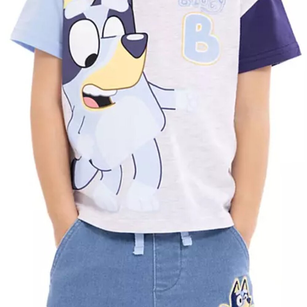 Toddler Boys Bluey Short Set 4T